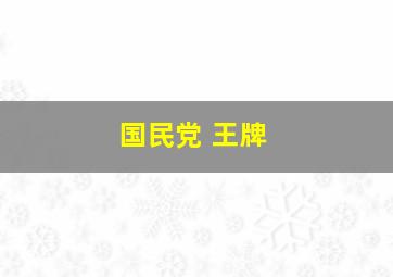 国民党 王牌